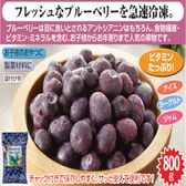 【1袋】大容量！冷凍ブルーベリー