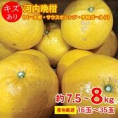 【予約受付】3/15~順次出荷【約7.5~8kg/16~35玉】河内晩柑（厳選発送）ご家庭用・傷あり