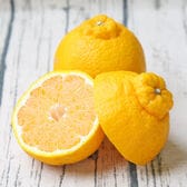 【10kg】ひめぽん(不知火)  ※多少の葉傷・黒点あり、サイズ込み