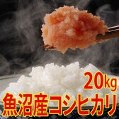 【20kg (5kg×4袋)】令和7年産 魚沼十日町産コシヒカリ