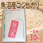 【30kg (30kg×1袋)】令和7年産 【玄米】魚沼十日町産コシヒカリ