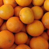 【3kg】新品種 愛媛果試48号(愛称：よんぱち) ※(傷アリ・複数サイズ込み)