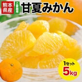 【5kg】甘夏※ご家庭用（傷あり サイズ不選別）