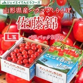【予約受付】4/20~30順次出荷秀品【500g/Lサイズ】 山形県産ハウスさくらんぼ佐藤錦