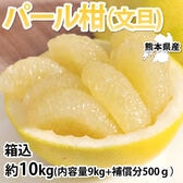 【箱込約10kg】熊本県産 パール柑(文旦) 家庭用(傷あり、不揃い)