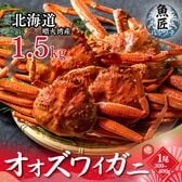 【北海道産】 オオズワイガニ 1.5kg 姿 ボイル （3-6尾）