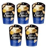 グリコ 焼きチーズ チーザ＜カマンベール＞【5コ】