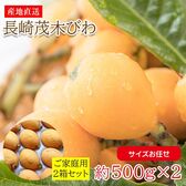 【予約受付】4/15~順次出荷【約1kg(サイズお任せ)/約500g×2箱】長崎茂木びわ ご家庭用