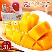 【予約受付】4/10~順次出荷【大玉3Lサイズ×1玉】宮崎完熟マンゴー