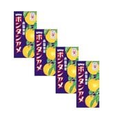 南国特産 ボンタンアメ 14粒【4コ】