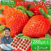 【280g以上×2パック】松尾さんのいちご