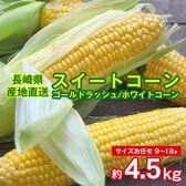 【予約受付】5/20~順次出荷【約4.5kg(9~18本)】朝採れスイートコーン【冷蔵】