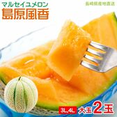 【予約受付】5/30~順次出荷【大玉2玉(3L-4L)】マルセイユメロン 島原風香
