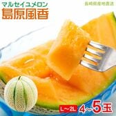【予約受付】5/30~順次出荷【4~5玉(L~2L)】マルセイユメロン 島原風香