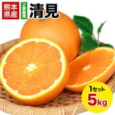【5kg】清見※ご家庭用（傷あり サイズ不選別）