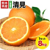 【8kg】清見※ご家庭用（傷あり サイズ不選別）