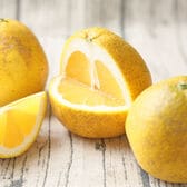 【8kg】宇和島ゴールド ※葉傷・枝傷・黒点等の傷あり、サイズ込み