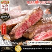 【250g】九州産黒毛和牛 サーロインステーキ 至福のひとときを贈る贅沢体験