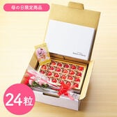 【予約受付】5/7~順次出荷【24粒】山形県産ハウスさくらんぼ佐藤錦 母の日セット【冷蔵】