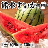【予約受付】6/2~順次出荷【2玉で計約9~10kg】熊本県産 すいか(ご家庭用・傷あり)