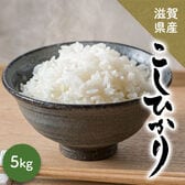 【5kg】 令和7年産 滋賀県産 コシヒカリ  単一原料米(精米)
