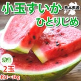 【予約受付】6/2~順次出荷【2玉 約2~3kg】熊本県産 小玉すいか 秀品