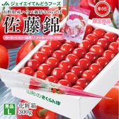【予約受付】母の日ギフト [300g] L玉 ハウスさくらんぼ(佐藤錦) 化粧箱入り
