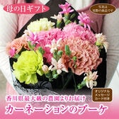 【予約受付】5/7~順次出荷 【母の日】特別なカーネーション ※5/7~9に出荷いたします！