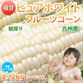 【予約受付】6/15~順次出荷【約3kg(8~12本】ピュアホワイト とうもろこし 九州産