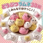 どうぶつラムネ30個
