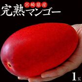 【2~3Lサイズ(350〜499g )×1玉】大玉『みやざき完熟マンゴー』