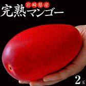 【2~3Lサイズ(350〜499g )×2玉】大玉『みやざき完熟マンゴー』
