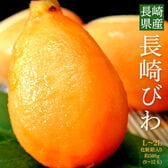 【約500g(9〜12玉)】長崎県産 長崎びわ 【冷蔵】