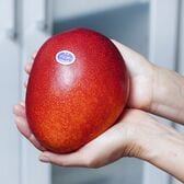 【4Lサイズ(500〜649g)×1玉】特大 みやざき完熟マンゴー 化粧箱入り