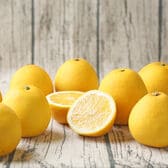 【8kg】ちび玉宇和島ゴールド ※葉傷・枝傷・黒点等の傷あり、サイズ込み