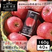 【160g×40本】SUN&LIV 山形代表りんご（山形食品）濃厚でスッキリした味わい！