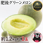 【1玉2Lサイズ約1.2kg以上】熊本県産 秀品 肥後グリーンメロン
