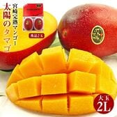 【予約受付】6/15~順次出荷【2玉/2Lサイズ】太陽のタマゴ 宮崎完熟マンゴー