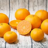 4/30お申込み終了！【4kg】愛媛県産せとか(ご家庭用)