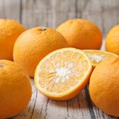 【計16kg/8kg×2箱】愛媛県産 甘夏 サイズおまかせ　※ご家庭用・傷あり