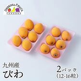 【九州】 2パック　枇杷(びわ)