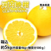 【箱込約5kg】熊本県産 河内晩柑（ご家庭用、傷あり）