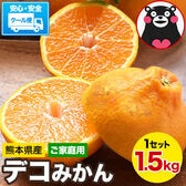 【1.5kg】デコみかん※ご家庭用（傷あり サイズ不選別）