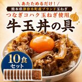 【計10袋(1袋100g×10袋)】牛玉丼の具