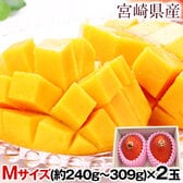 【2玉/Mサイズ】本場宮崎県産 完熟マンゴー