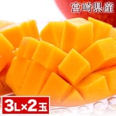 【2玉/3Lサイズ】本場宮崎県産 完熟マンゴー
