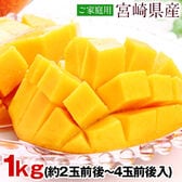 【1kg】本場宮崎県産 完熟マンゴー※ご家庭用（傷あり サイズ不選別）
