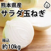 【箱込約10kg】熊本県産 サラダ玉ねぎ(ご家庭用・傷あり)