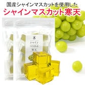 【日替わり数量限定】【2袋(32個前後入り)】国産シャインマスカットを使用！国産シャインマスカット寒天【先行チケット利用NG】