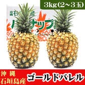 【予約受付】5/25~順次出荷【3kg(2~3玉)】石垣島産パイン「ゴールドバレル」